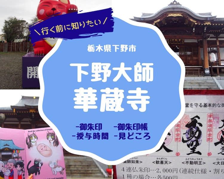 華蔵寺の御朱印帳と御朱印！巨大な招き猫が目印の猫好き必見のお寺【栃木】│福福あそび